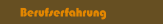 Berufserfahrung