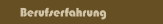 Berufserfahrung